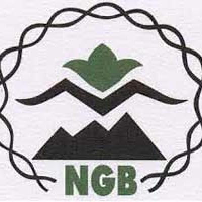 Ngb